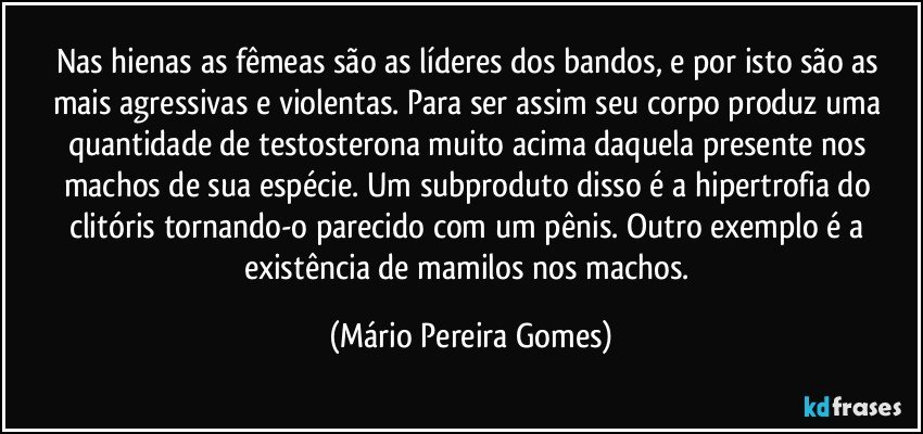 Nas hienas as fêmeas são as líderes dos bandos, e por isto são as mais agressivas e violentas. Para ser assim seu corpo produz uma quantidade de testosterona muito acima daquela presente nos machos de sua espécie. Um subproduto disso é a hipertrofia do clitóris tornando-o parecido com um pênis. Outro exemplo é a existência de mamilos nos machos. (Mário Pereira Gomes)