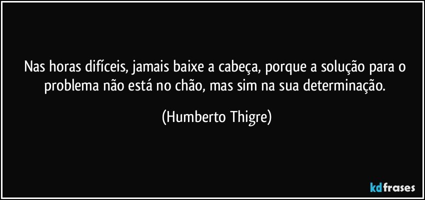 Nas horas difíceis, jamais baixe a cabeça, porque a solução para o problema não está no chão, mas sim na sua determinação. (Humberto Thigre)