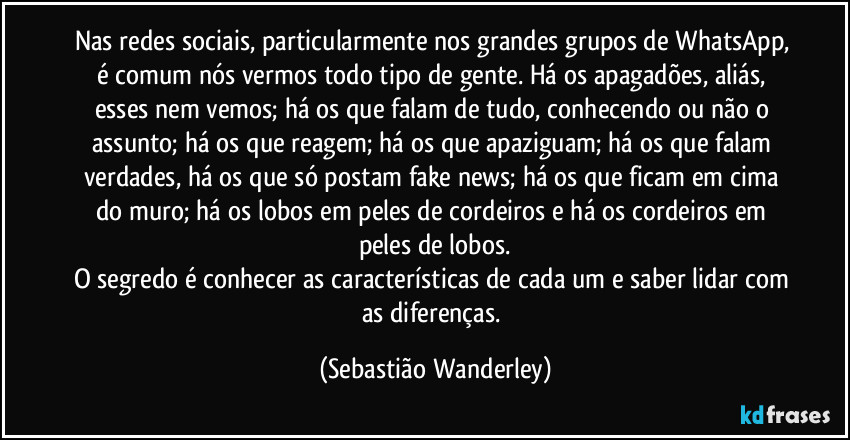 Nas redes sociais, particularmente nos grandes grupos de WhatsApp, é comum nós vermos todo tipo de gente. Há os apagadões, aliás, esses nem vemos; há os que falam de tudo, conhecendo ou não o assunto; há os que reagem; há os que apaziguam; há os que falam verdades, há os que só postam fake news; há os que ficam em cima do muro; há os lobos em peles de cordeiros e há os cordeiros em peles de lobos.
O segredo é conhecer as características de cada um e saber lidar com as diferenças. (Sebastião Wanderley)
