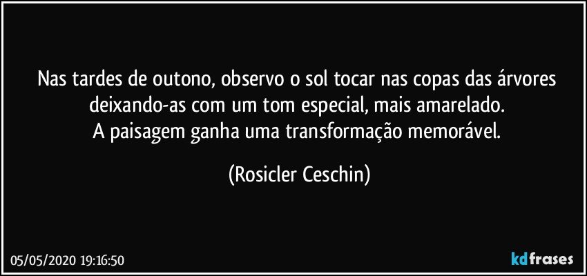 Nas tardes de outono, observo  o sol  tocar nas copas das árvores  deixando-as com um tom especial, mais  amarelado. 
A paisagem  ganha uma   transformação  memorável. (Rosicler Ceschin)