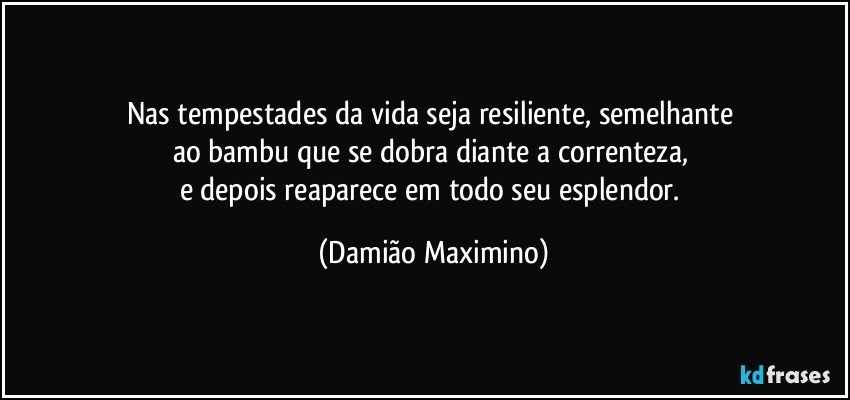 Nas tempestades da vida seja resiliente, semelhante 
ao bambu que se dobra diante a correnteza, 
e depois reaparece em todo seu esplendor. (Damião Maximino)