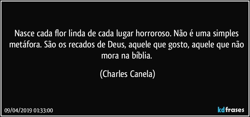 Nasce cada flor linda de cada lugar horroroso. Não é uma simples metáfora. São os recados de Deus, aquele que gosto, aquele que não mora na bíblia. (Charles Canela)