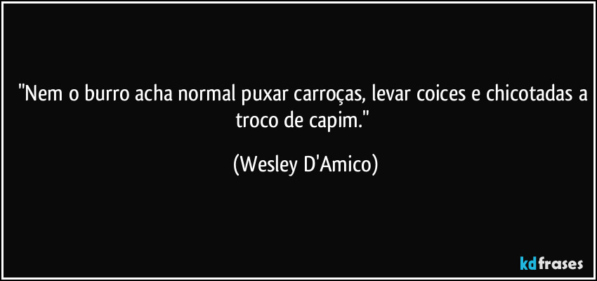 "Nem o burro acha normal puxar carroças, levar coices e chicotadas a troco de capim." (Wesley D'Amico)