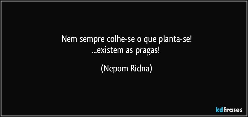 Nem sempre colhe-se o que planta-se!
...existem as pragas! (Nepom Ridna)