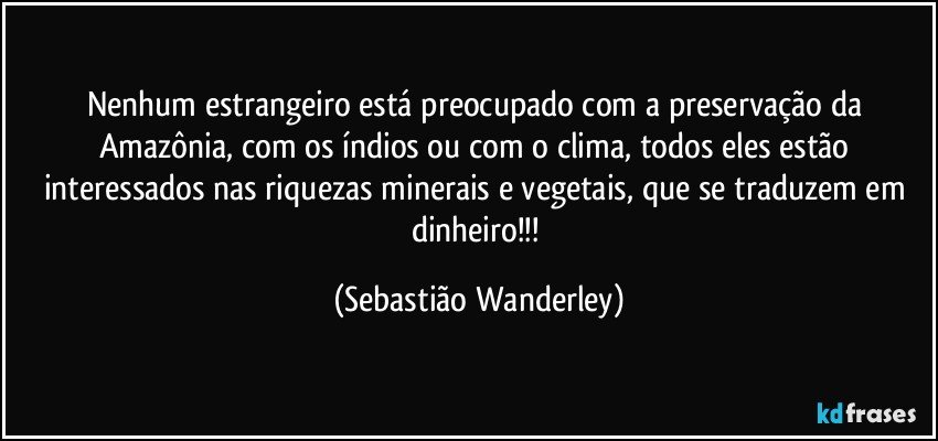 Nenhum estrangeiro está preocupado com a preservação da Amazônia, com os índios ou com o clima, todos eles estão interessados nas riquezas minerais e vegetais, que se traduzem em dinheiro!!! (Sebastião Wanderley)