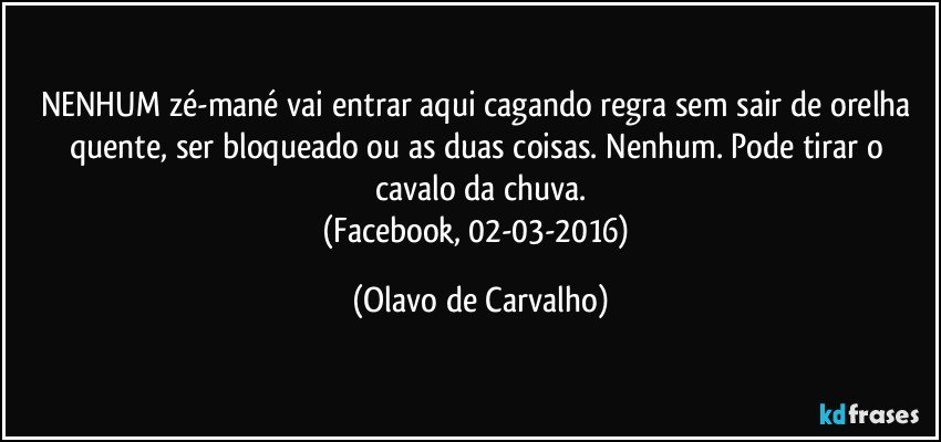 NENHUM zé-mané vai entrar aqui cagando regra sem sair de orelha quente, ser bloqueado ou as duas coisas. Nenhum. Pode tirar o cavalo da chuva.
(Facebook, 02-03-2016) (Olavo de Carvalho)