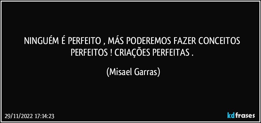 NINGUÉM É PERFEITO , MÁS PODEREMOS FAZER CONCEITOS PERFEITOS ! CRIAÇÕES PERFEITAS . (Misael Garras)