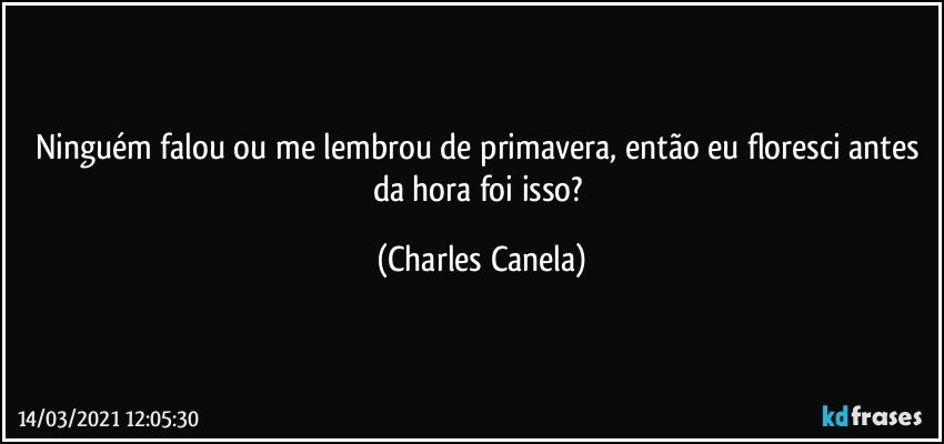 Ninguém falou ou me lembrou de primavera, então eu floresci antes da hora foi isso? (Charles Canela)