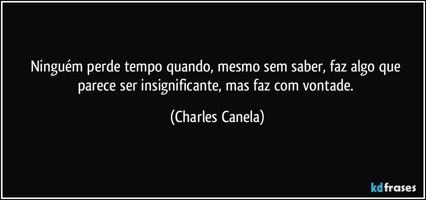 Ninguém perde tempo quando, mesmo sem saber, faz algo que parece ser insignificante, mas faz com vontade. (Charles Canela)