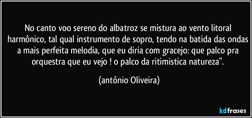 No canto voo sereno do albatroz se mistura ao vento litoral harmônico, tal qual instrumento de sopro, tendo na batida das ondas a mais perfeita melodia, que eu diria com gracejo: que palco pra orquestra que eu vejo !  o palco da ritimistica natureza". (Antonio Oliveira)