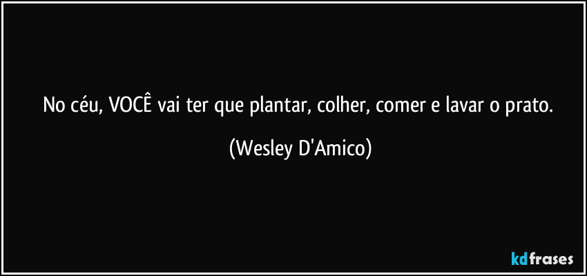 No céu, VOCÊ vai ter que plantar, colher, comer e lavar o prato. (Wesley D'Amico)