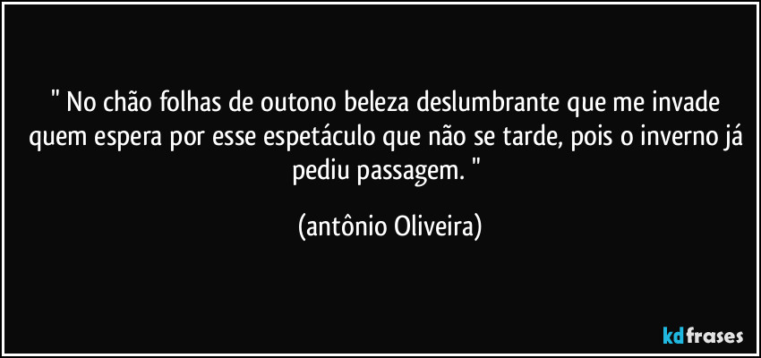 " No chão folhas de outono beleza deslumbrante que me invade quem espera por esse espetáculo que não se tarde, pois o inverno já  pediu passagem. " (Antonio Oliveira)