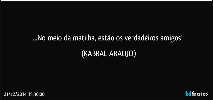 ...No meio da matilha, estão os verdadeiros amigos! (KABRAL ARAUJO)