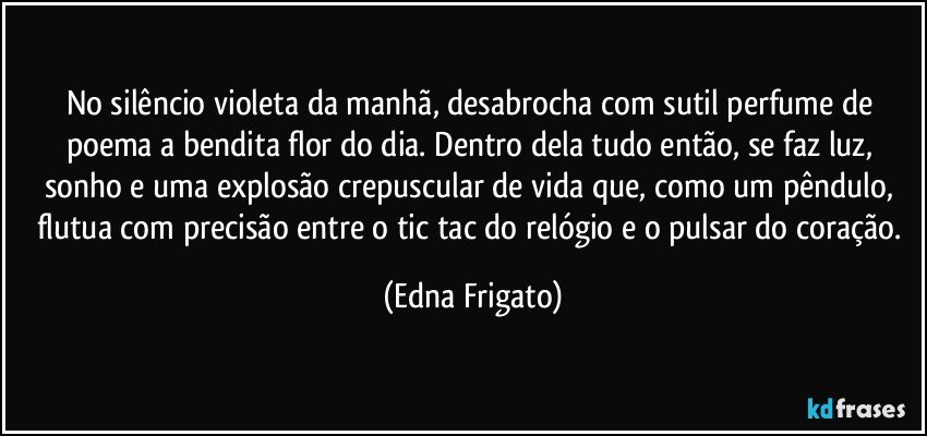 No silêncio violeta da manhã, desabrocha com sutil perfume de poema a bendita flor do dia. Dentro dela tudo então, se faz luz, sonho e  uma explosão crepuscular de vida que, como um pêndulo, flutua com precisão entre o tic tac do relógio e o pulsar do coração. (Edna Frigato)