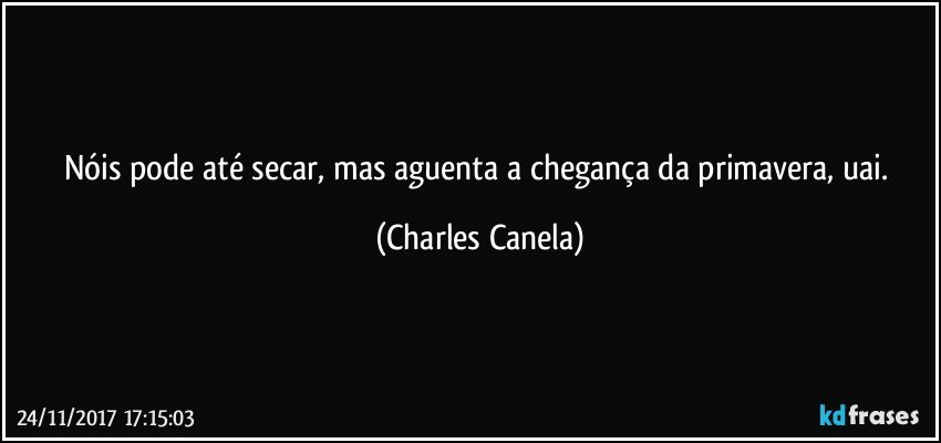 Nóis pode até secar, mas aguenta a chegança da primavera, uai. (Charles Canela)