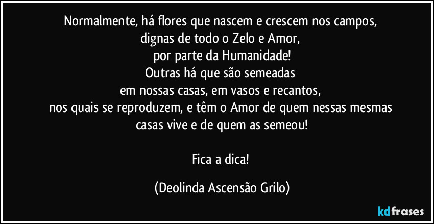 Normalmente, há flores que nascem e crescem nos campos, 
dignas de todo o Zelo e Amor, 
por parte da Humanidade!
Outras há que são semeadas 
em nossas casas, em vasos e recantos, 
nos quais se reproduzem, e têm o Amor de quem nessas mesmas casas vive e de quem as semeou!

Fica a dica! (Deolinda Ascensão Grilo)