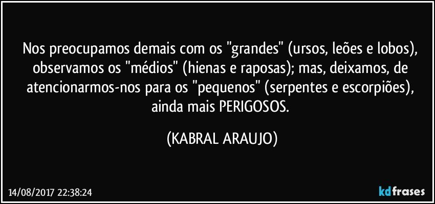 Nos preocupamos demais com os "grandes" (ursos, leões e lobos), observamos os "médios" (hienas e raposas); mas, deixamos, de atencionarmos-nos para os "pequenos" (serpentes e escorpiões), ainda mais PERIGOSOS. (KABRAL ARAUJO)