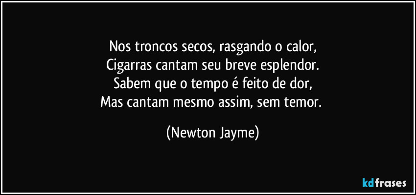 Nos troncos secos, rasgando o calor,
Cigarras cantam seu breve esplendor.
Sabem que o tempo é feito de dor,
Mas cantam mesmo assim, sem temor. (Newton Jayme)