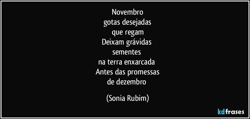 Novembro
gotas desejadas
que regam
Deixam grávidas 
sementes 
na terra enxarcada 
Antes das promessas
de dezembro (Sonia Rubim)