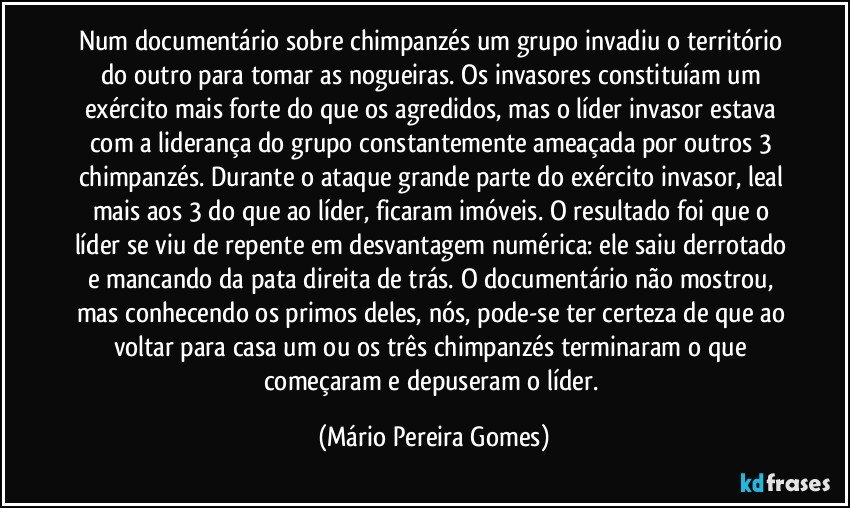 Num documentário sobre chimpanzés um grupo invadiu o território do outro para tomar as nogueiras. Os invasores constituíam um exército mais forte do que os agredidos, mas o líder invasor estava com a liderança do grupo constantemente ameaçada por outros 3 chimpanzés. Durante o ataque grande parte do exército invasor, leal mais aos 3 do que ao líder, ficaram imóveis. O resultado foi que o líder se viu de repente em desvantagem numérica: ele saiu derrotado e mancando da pata direita de trás. O documentário não mostrou, mas conhecendo os primos deles, nós, pode-se ter certeza de que ao voltar para casa um ou os três chimpanzés terminaram o que começaram e depuseram o líder. (Mário Pereira Gomes)