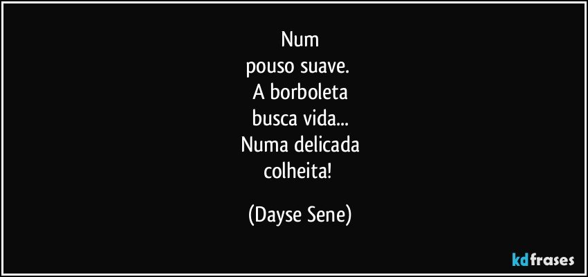 Num
pouso suave. 
A borboleta
busca vida...
Numa delicada
colheita! (Dayse Sene)