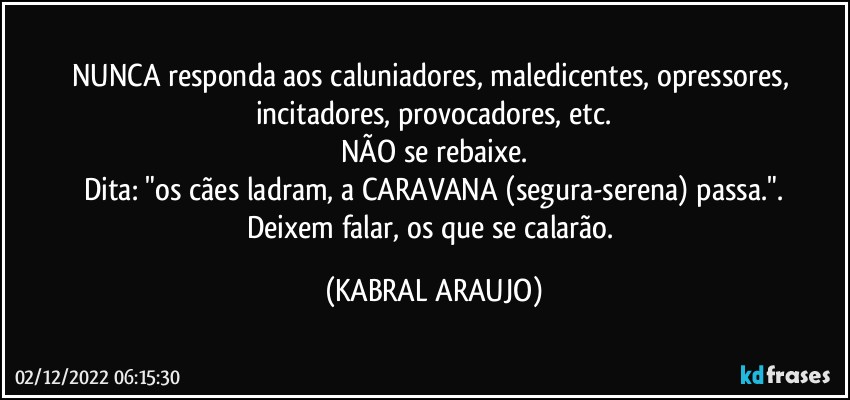 NUNCA responda aos caluniadores, maledicentes, opressores, incitadores, provocadores, etc.
NÃO se rebaixe.
Dita: "os cães ladram, a CARAVANA (segura-serena) passa.".
Deixem falar, os que se calarão. (KABRAL ARAUJO)