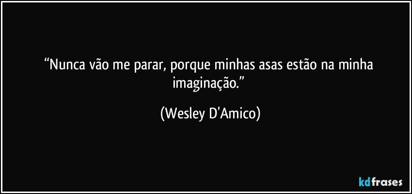 “Nunca vão me parar, porque minhas asas estão na minha imaginação.” (Wesley D'Amico)