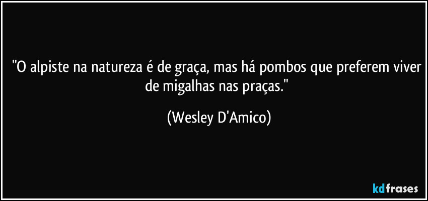 "O alpiste na natureza é de graça, mas há pombos que preferem viver de migalhas nas praças." (Wesley D'Amico)