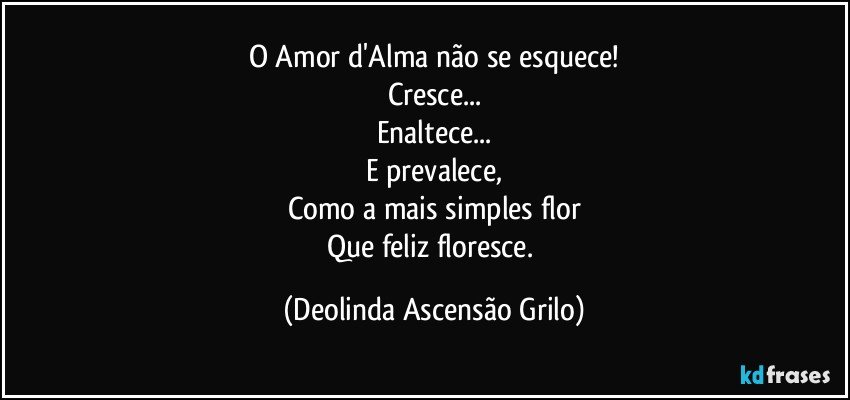 O Amor d'Alma não se esquece!
Cresce...
Enaltece...
E prevalece,
Como a mais simples flor
Que feliz floresce. (Deolinda Ascensão Grilo)