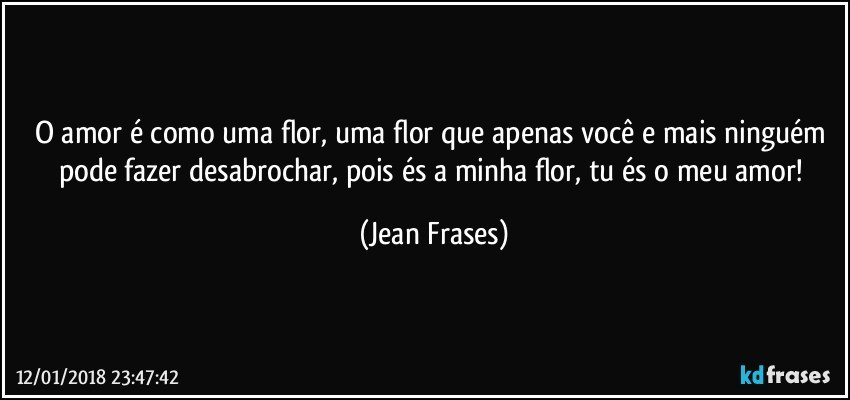 O amor é como uma flor, uma flor que apenas você e mais ninguém pode fazer desabrochar, pois és a minha flor, tu és o meu amor! (Jean Frases)