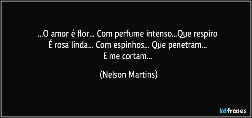 ...O amor é flor... Com perfume intenso...Que respiro 
É rosa linda... Com espinhos... Que penetram... 
E me cortam... (Nelson Martins)