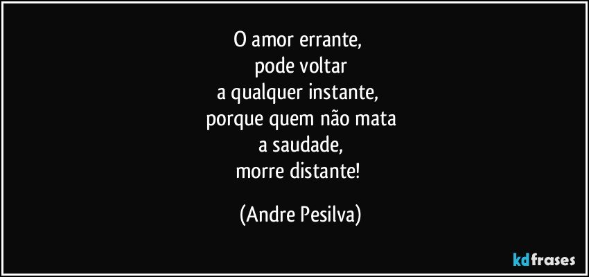 O amor errante, 
pode voltar
a qualquer instante, 
porque quem não mata
a saudade,
morre distante! (Andre Pesilva)