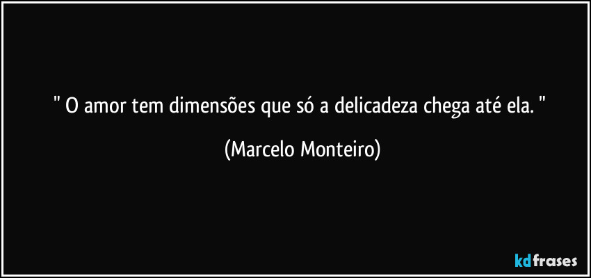 " O amor tem dimensões que só a delicadeza chega até ela. " (Marcelo Monteiro)