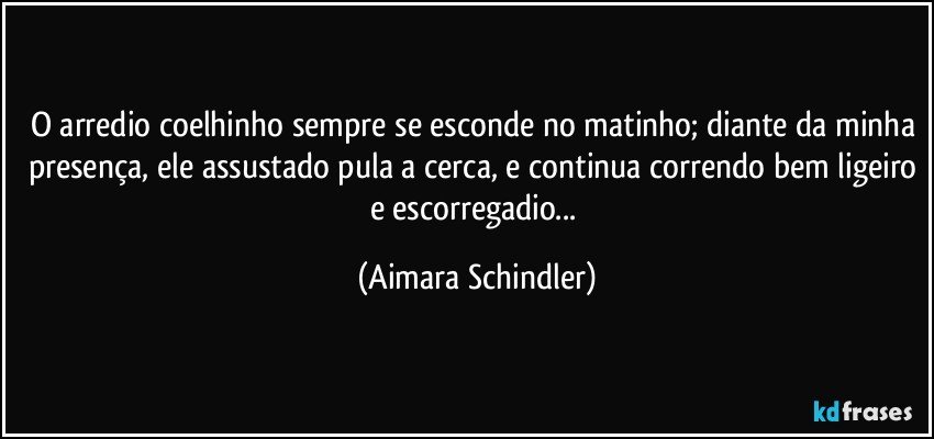 O arredio coelhinho sempre se esconde no matinho; diante da minha presença, ele assustado pula a cerca, e continua correndo bem ligeiro e escorregadio... (Aimara Schindler)