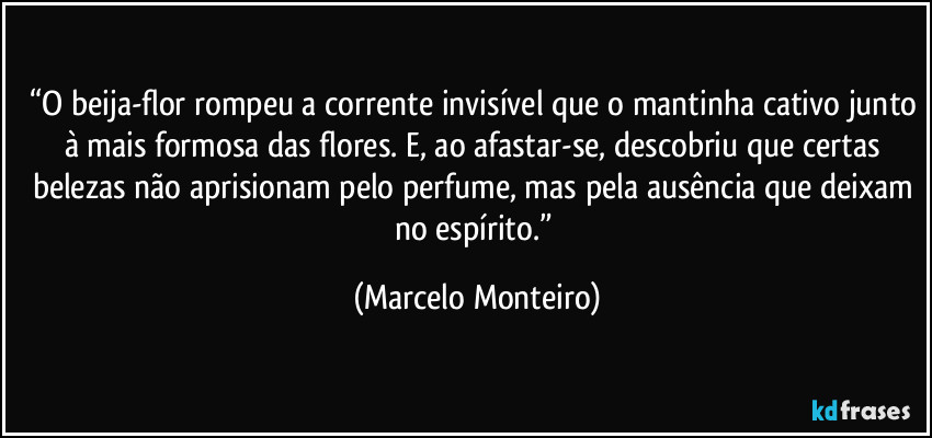 “O beija-flor rompeu a corrente invisível que o mantinha cativo junto à mais formosa das flores. E, ao afastar-se, descobriu que certas belezas não aprisionam pelo perfume, mas pela ausência que deixam no espírito.” (Marcelo Monteiro)
