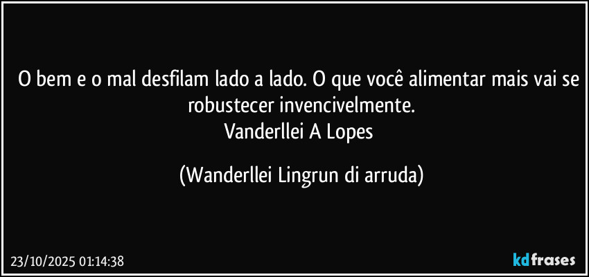 O bem e o mal desfilam lado a lado. O que você alimentar mais vai se robustecer invencivelmente.
Vanderllei A Lopes (Wanderllei Lingrun di arruda)