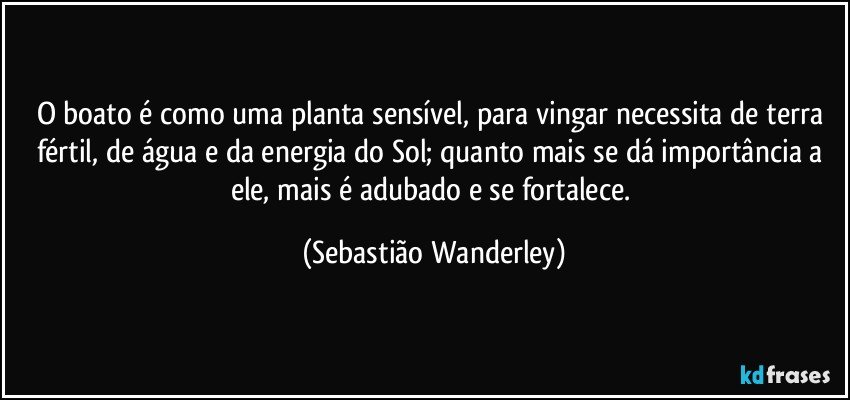 O boato é como uma planta sensível, para vingar necessita de terra fértil, de água e da energia do Sol; quanto mais se dá importância a ele, mais é adubado e se fortalece. (Sebastião Wanderley)