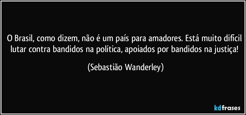 O Brasil, como dizem, não é um país para amadores. Está muito difícil lutar contra bandidos na política, apoiados por bandidos na justiça! (Sebastião Wanderley)