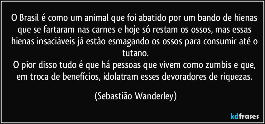 O Brasil é como um animal que foi abatido por um bando de hienas que se fartaram nas carnes e hoje só restam os ossos, mas essas hienas insaciáveis já estão esmagando os ossos para consumir até o tutano.
O pior disso tudo é que há pessoas que vivem como zumbis e que, em troca de benefícios, idolatram esses devoradores de riquezas. (Sebastião Wanderley)