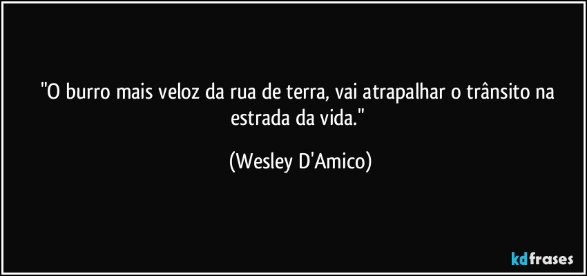 "O burro mais veloz da rua de terra, vai atrapalhar o trânsito na estrada da vida." (Wesley D'Amico)