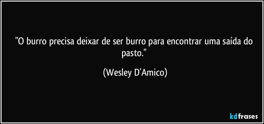 "O burro precisa deixar de ser burro para encontrar uma saída do pasto." (Wesley D'Amico)