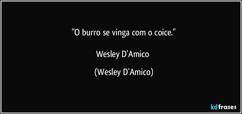 "O burro se vinga com o coice."

Wesley D'Amico (Wesley D'Amico)