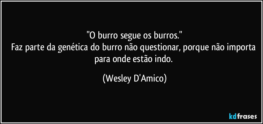 "O burro segue os burros."
Faz parte da genética do burro não questionar, porque não importa para onde estão indo. (Wesley D'Amico)