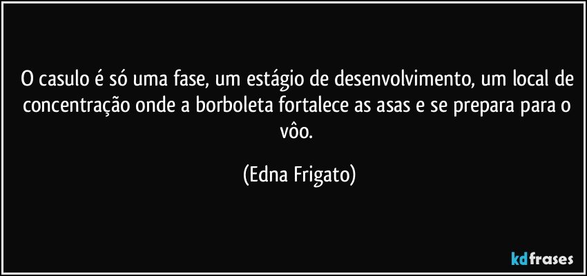 O casulo é só uma fase, um estágio de desenvolvimento, um local de concentração onde a borboleta fortalece as asas e se prepara para o vôo. (Edna Frigato)