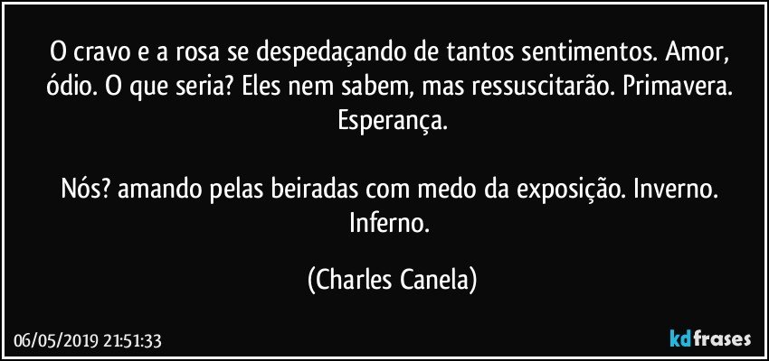 O cravo e a rosa se despedaçando de tantos sentimentos. Amor, ódio. O que seria? Eles nem sabem, mas ressuscitarão. Primavera. Esperança.

Nós? amando pelas beiradas com medo da exposição. Inverno. Inferno. (Charles Canela)