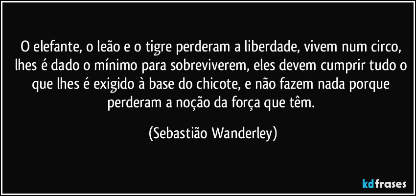 O elefante, o leão e o tigre perderam a liberdade, vivem num circo, lhes é dado o mínimo para sobreviverem, eles devem cumprir tudo o que lhes é exigido à base do chicote, e não fazem nada porque perderam a noção da força que têm. (Sebastião Wanderley)