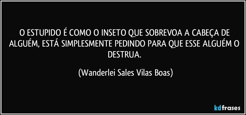 O ESTUPIDO É COMO O INSETO QUE SOBREVOA A CABEÇA DE ALGUÉM, ESTÁ SIMPLESMENTE PEDINDO PARA QUE ESSE ALGUÉM O DESTRUA. (Wanderlei Sales Vilas Boas)