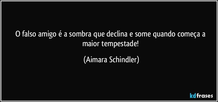 O falso amigo é a sombra que declina e some quando começa a maior tempestade! (Aimara Schindler)