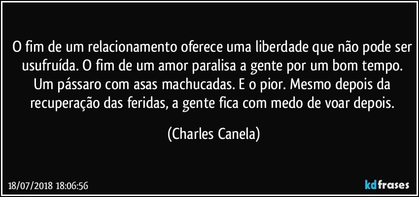 O fim de um relacionamento oferece uma liberdade que não pode ser usufruída. O fim de um amor paralisa a gente por um bom tempo. Um pássaro com asas machucadas. E o pior. Mesmo depois da recuperação das feridas, a gente fica com medo de voar depois. (Charles Canela)