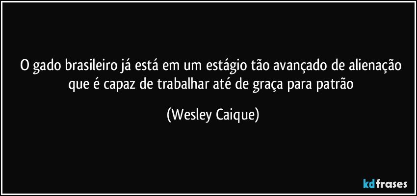 O gado brasileiro já está em um estágio tão avançado de alienação que é capaz de trabalhar até de graça para patrão (Wesley Caique)
